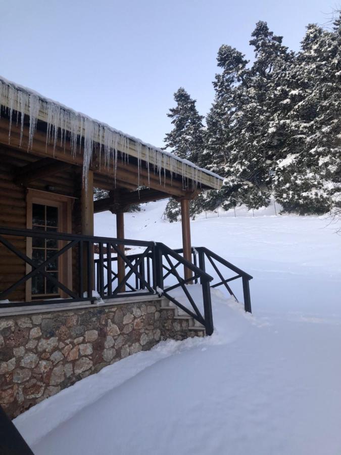 Villa Shelter Kalavryta Exterior foto